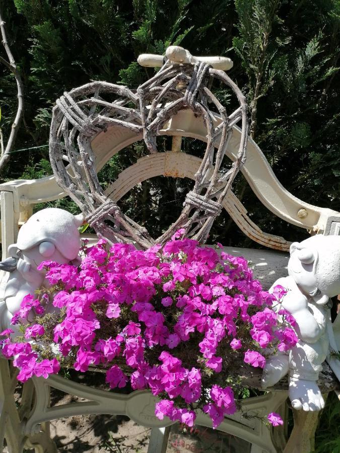 Guest house Mien Fruendt *